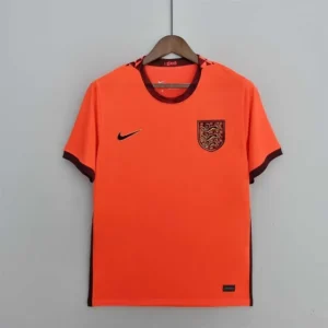 England 2022 Away Orange Soccer Jersey