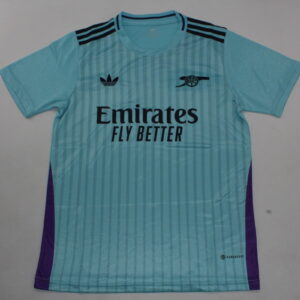 Arsenal 2024-2025 Lake Blue Training Jersey